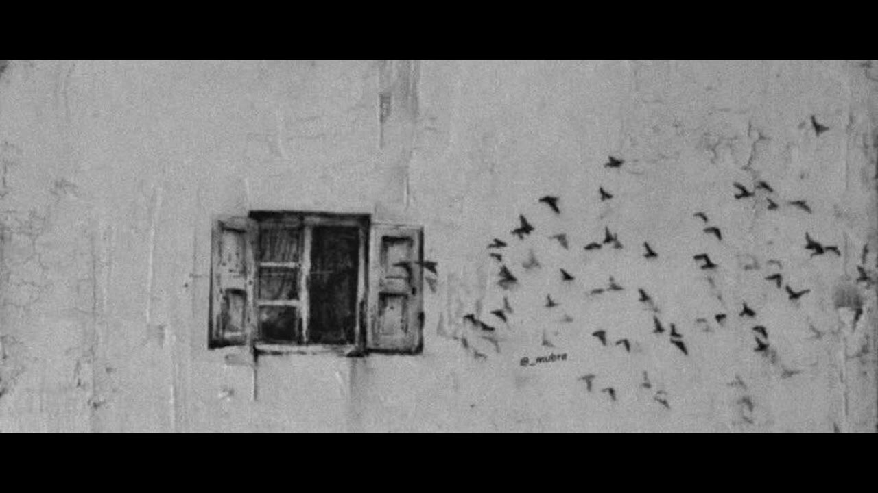 Günbatımı | Tarık Günersel