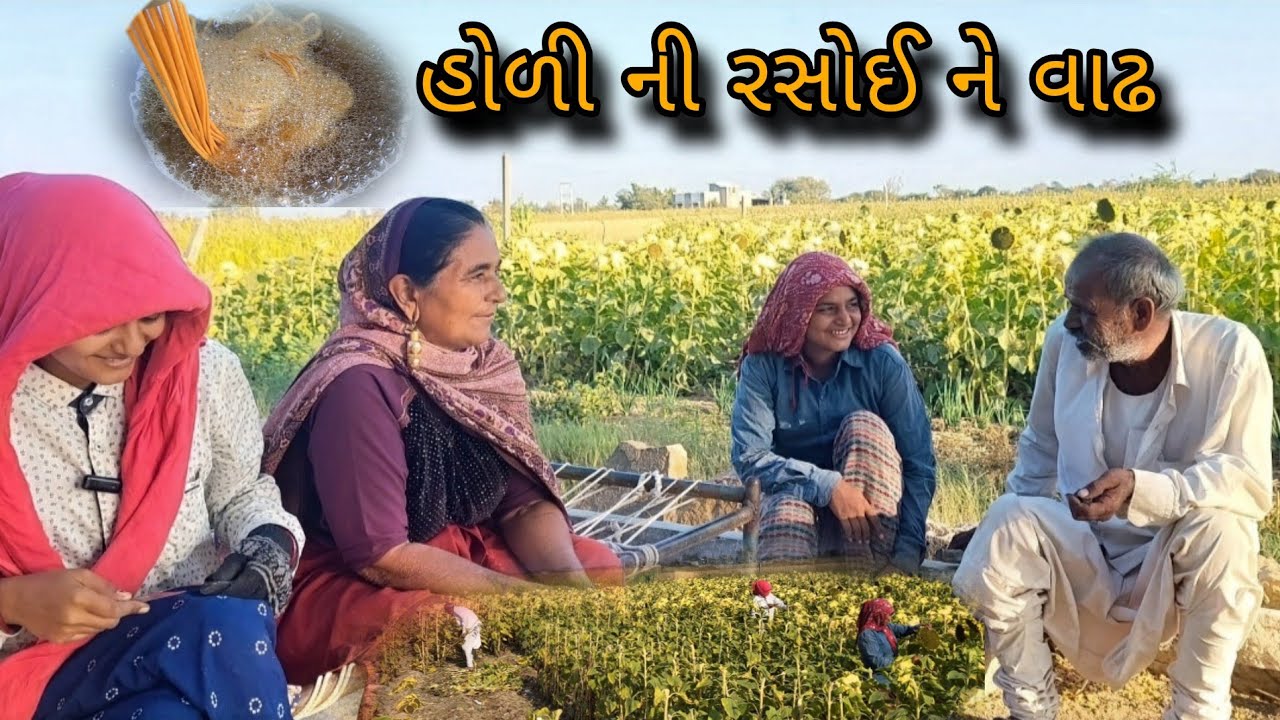 Recipe's & harvesting || farm work || @gujrati village life vlogs