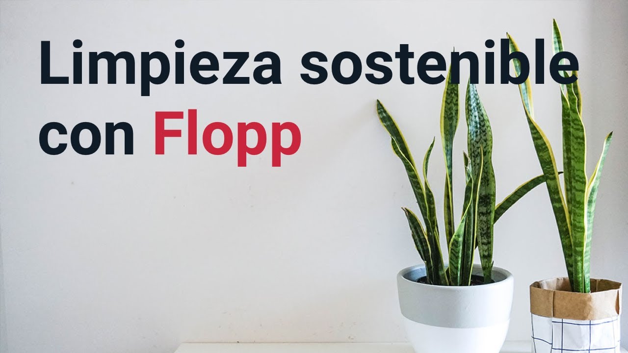 Limpieza Sostenible con Flopp