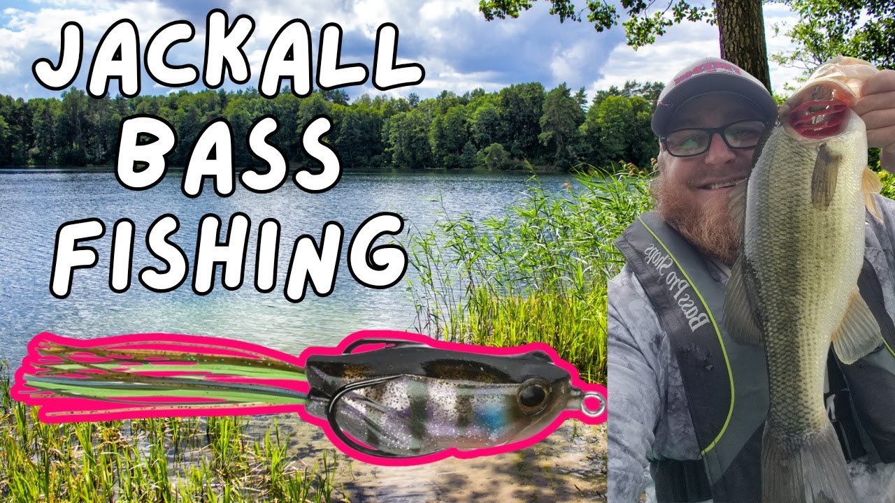 Top Water Bass Fishing With The Jackall Frog
