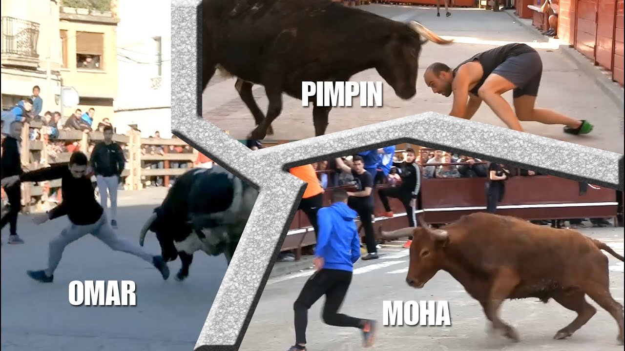 Pimpín Vs Moha Vs Omar (Reyes de la calle en la zona norte)