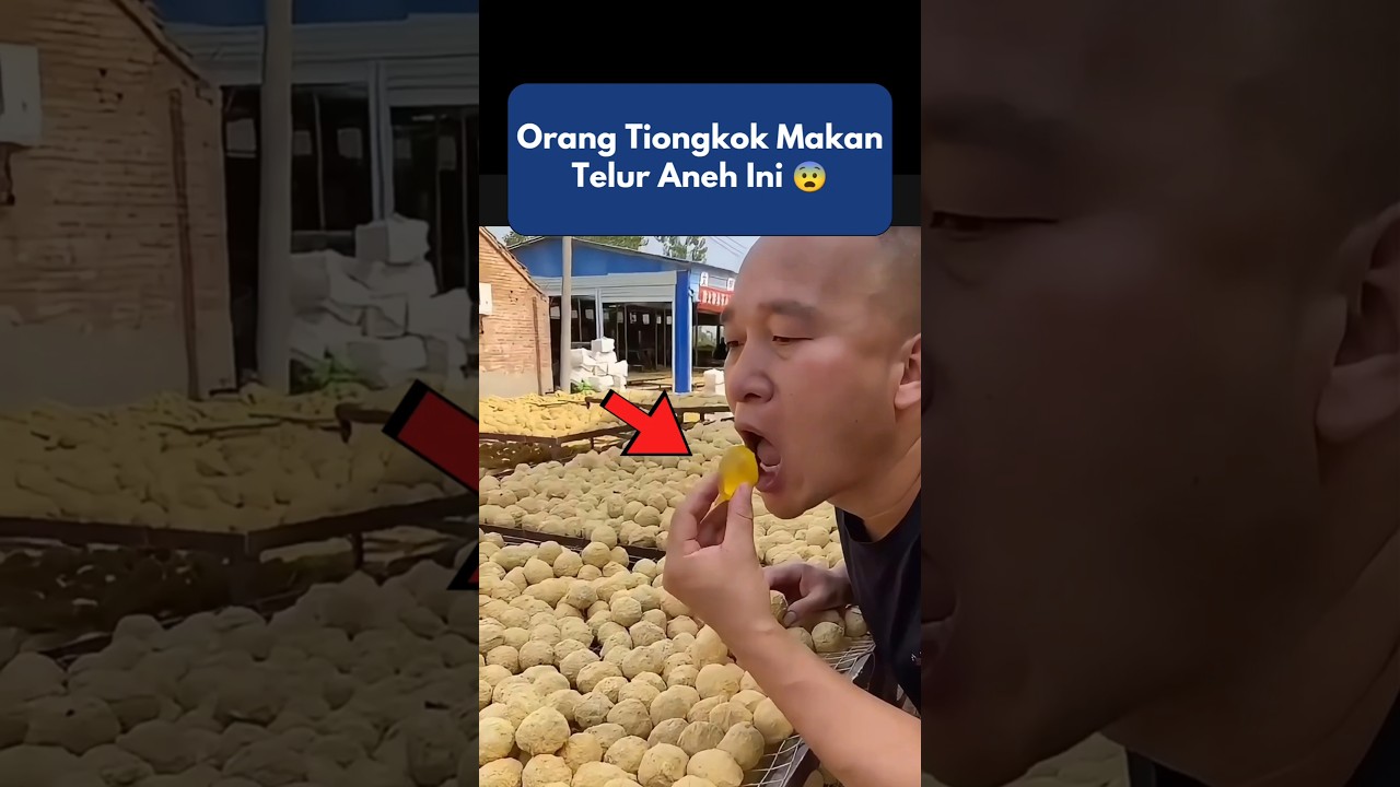 Ternyata Ini Bukan Telur Biasa