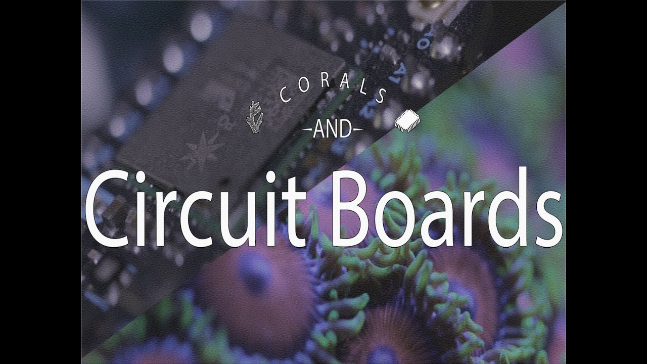 Corals And Circuit Boards - Making A Aquarium Monitor From Scratch