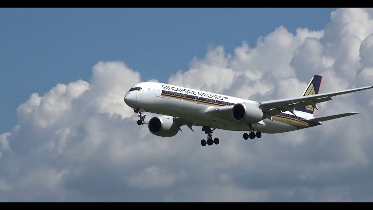MOSCOW Summer Planespotting at UUDD-4. Летний споттинг в Домодедово/UUDD-4.