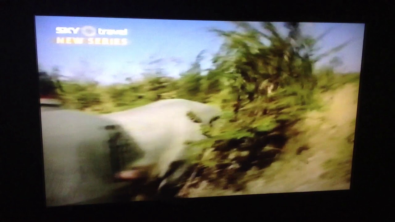 BBC THREE Freeview Off-Air Screen (2005)