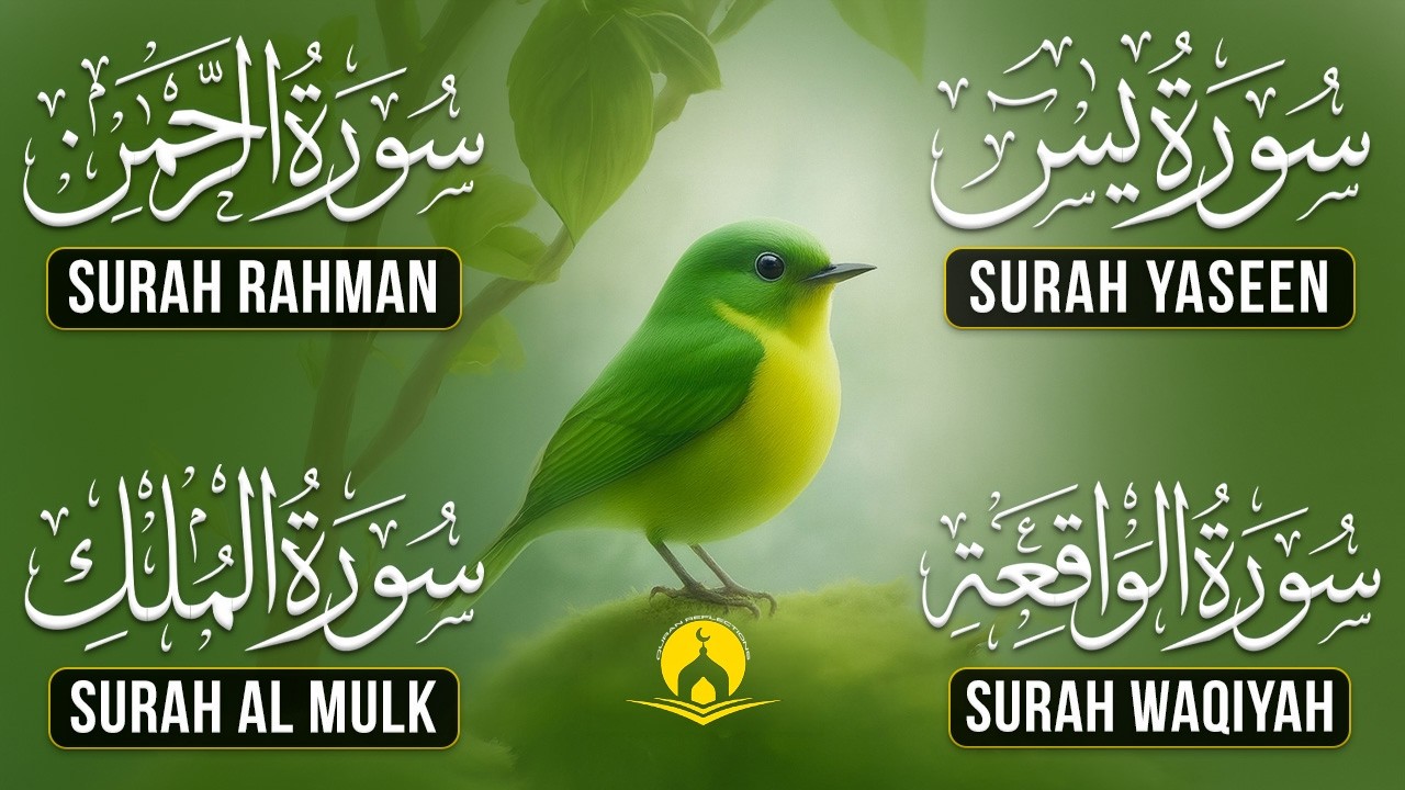 Very Nice Voice Surah Yaseen | Surah Rahman | Surah Waqiah | Surah Mulk l Reciter Ashraf Hussain 108