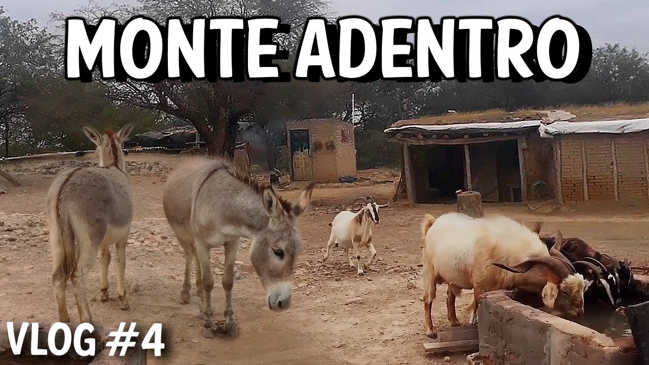 ASI es la vida MONTE ADENTRO en Santiago del Estero | Ellos me cuentan como es VIVIR en el CAMPO