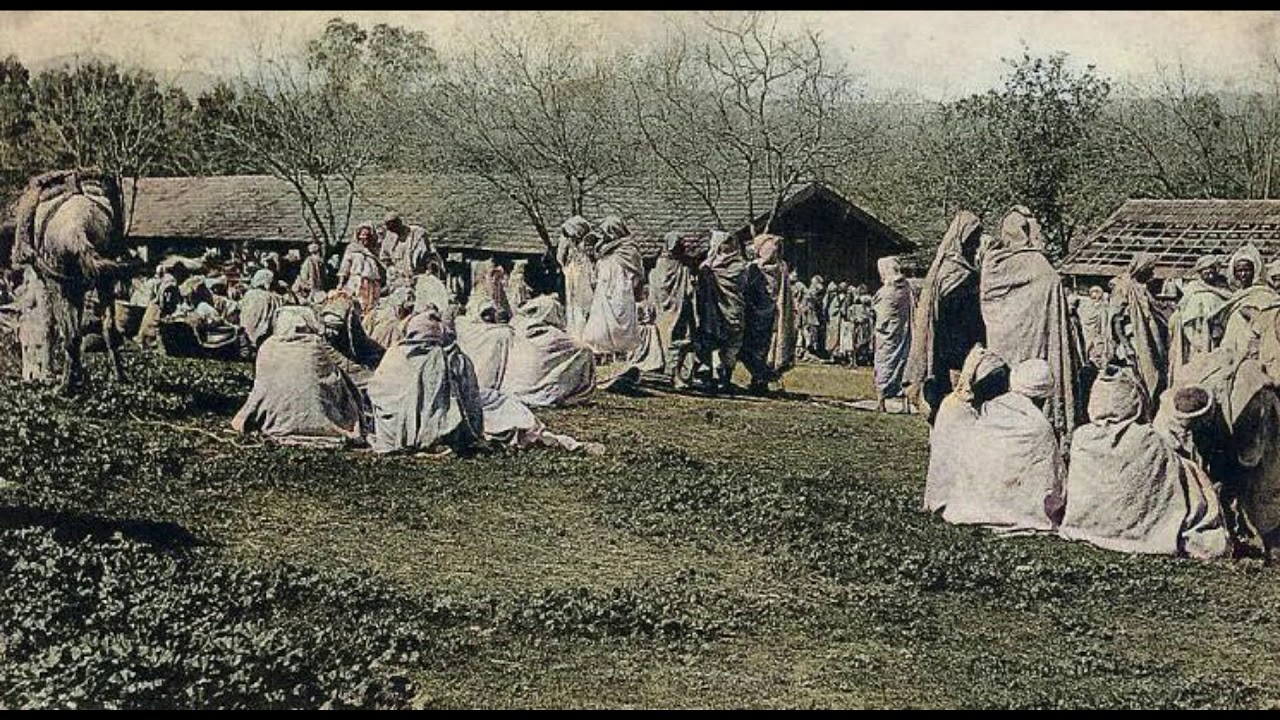 🇩🇿 صور قديمة ملونة لمدينة برج منايل لسنة 1900/1930