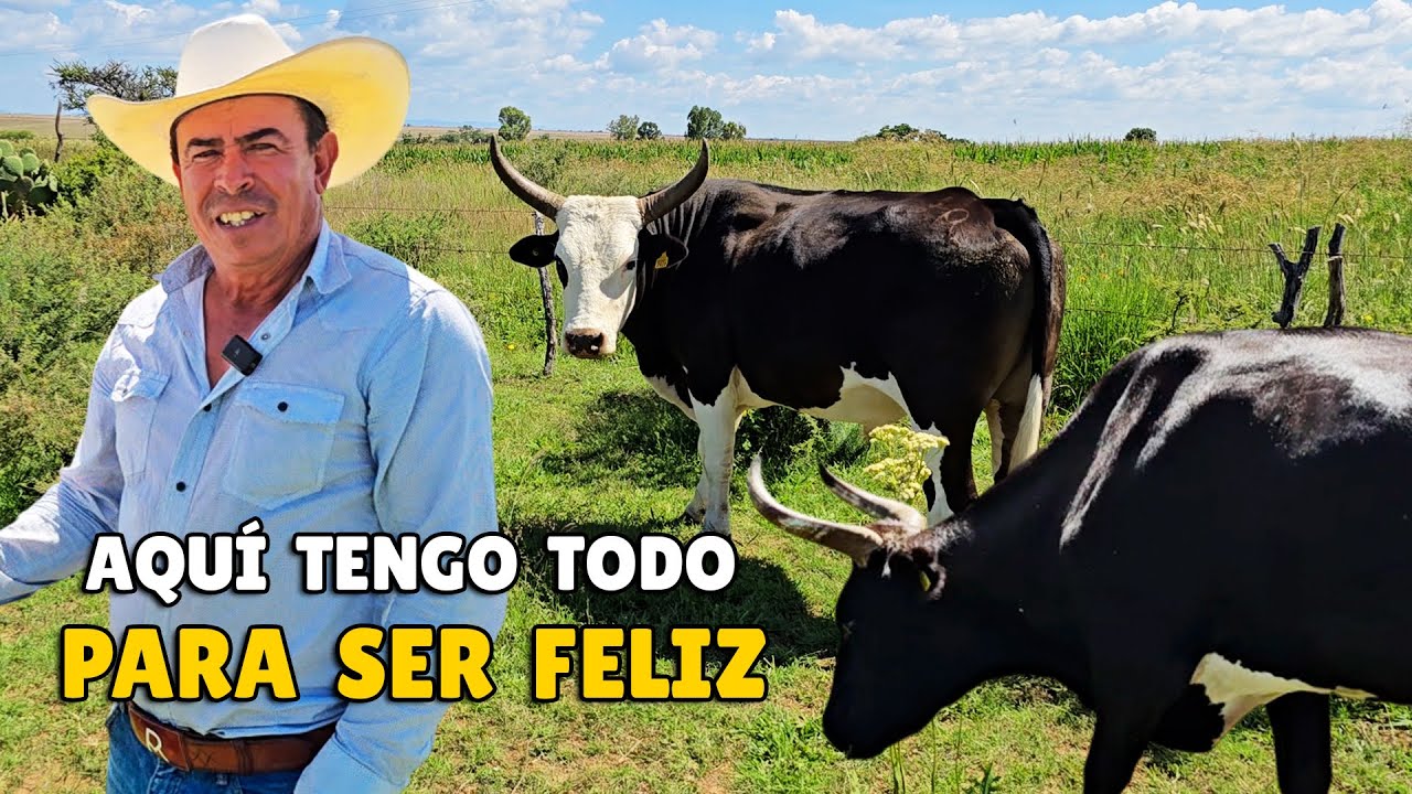 MIENTRAS VIDA TENGA YO NO SUELTO MI YUNTA DE BUEYES