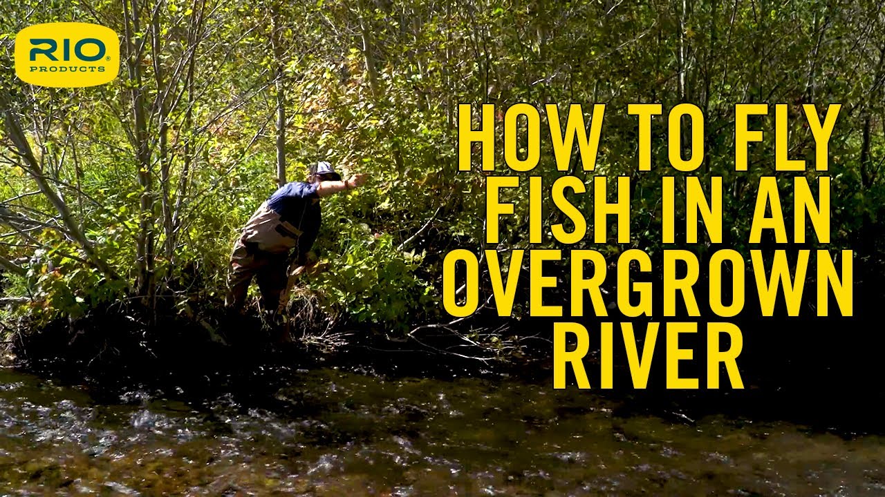 How To Fly Fish In An Overgrown River - S5 E10
