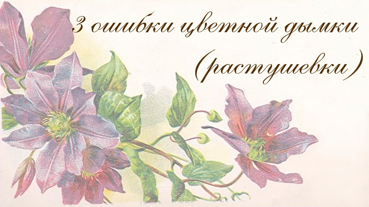 Цветная дымка (декупаж) 3 ошибки цветной дымки (растушевки) акрилом и замедлителем