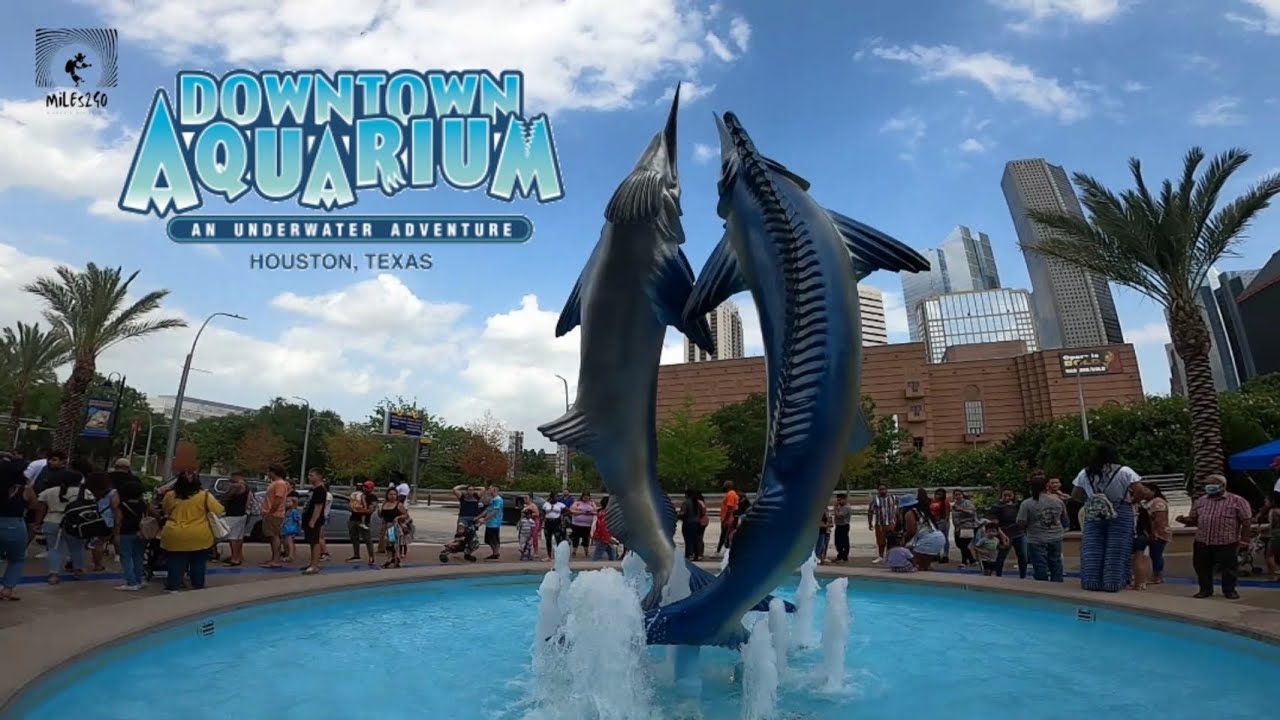 Downtown Aquarium in 2022 | Full Tour | Houston, TX | Day trip adventure | What is there to do here?