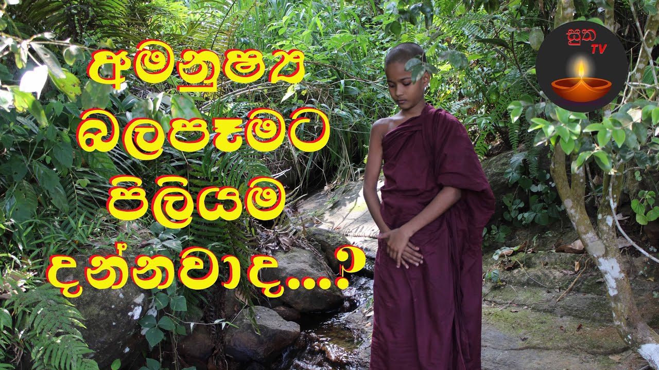 අමනුෂ්‍ය බලපෑම් වලට පිලියම් ගැන දන්නවාද?