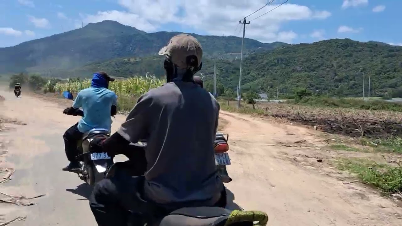 Hành trình bốc mía 