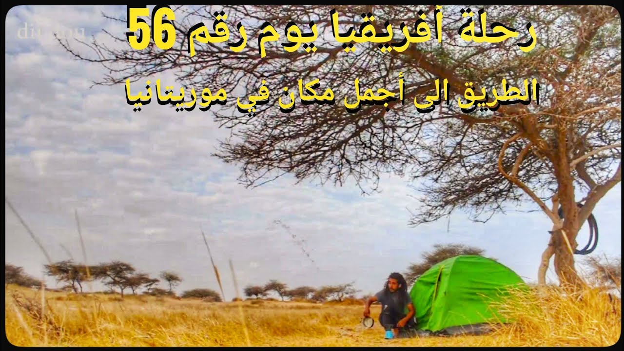 v20🇲🇷: الطريق الى السنغال عبر منتزه دياولين جنوب موريتانيا