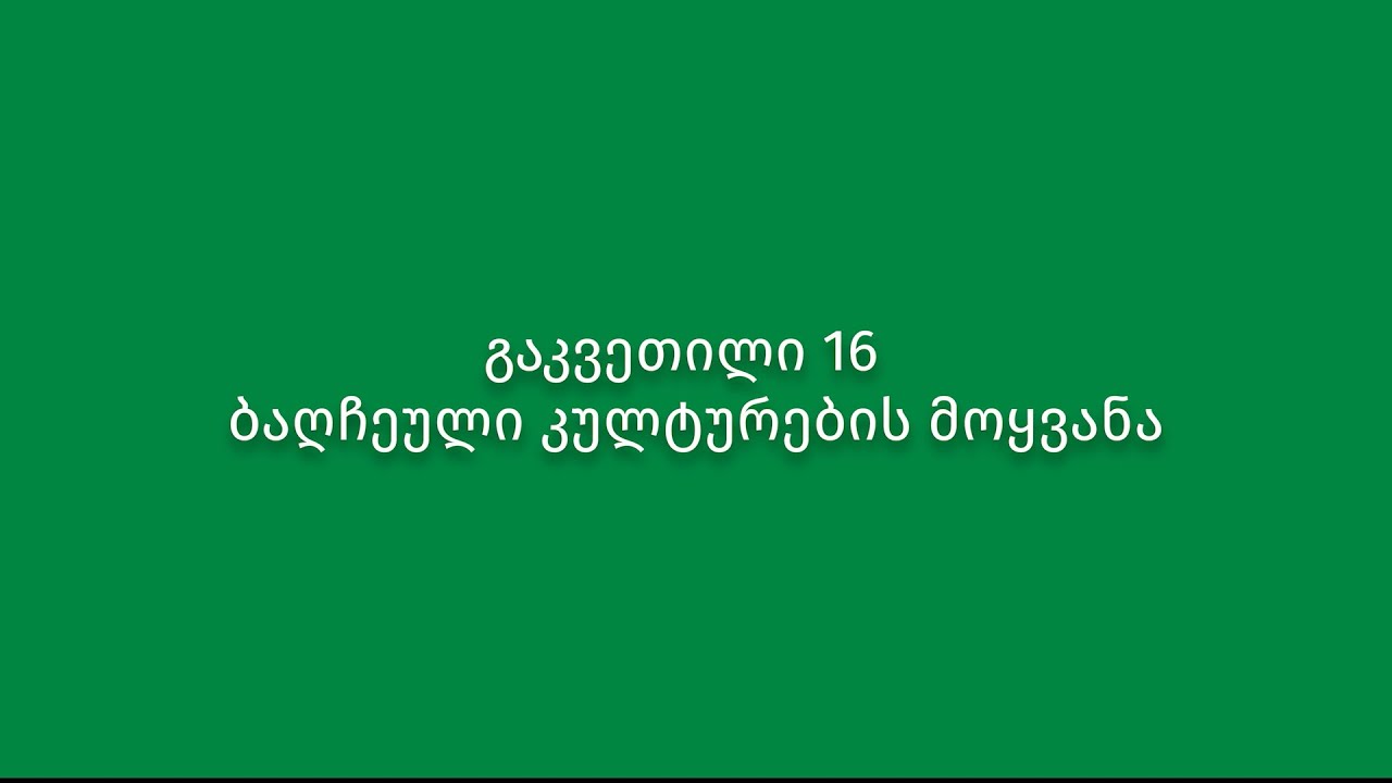 გაკვეთილი 16. ბაღჩეული კულტურების მოყვანა