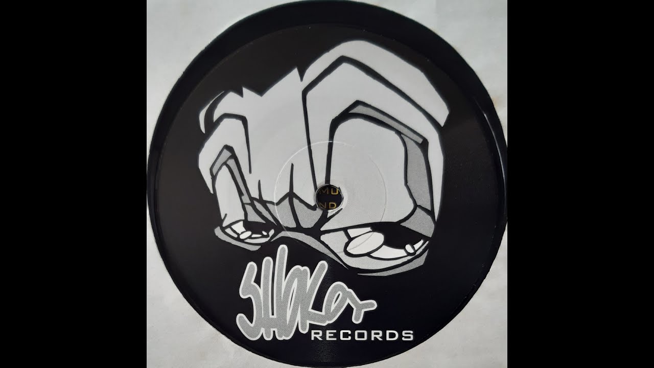 STAR GAZER - Not Enough Memory (DISCO STORIA RICKY LE ROY 1995)