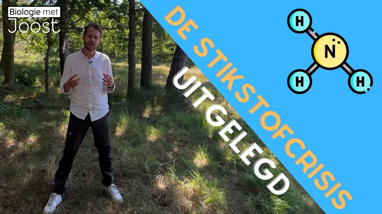 De stikstofcrisis | Een groot probleem voor iedereen!