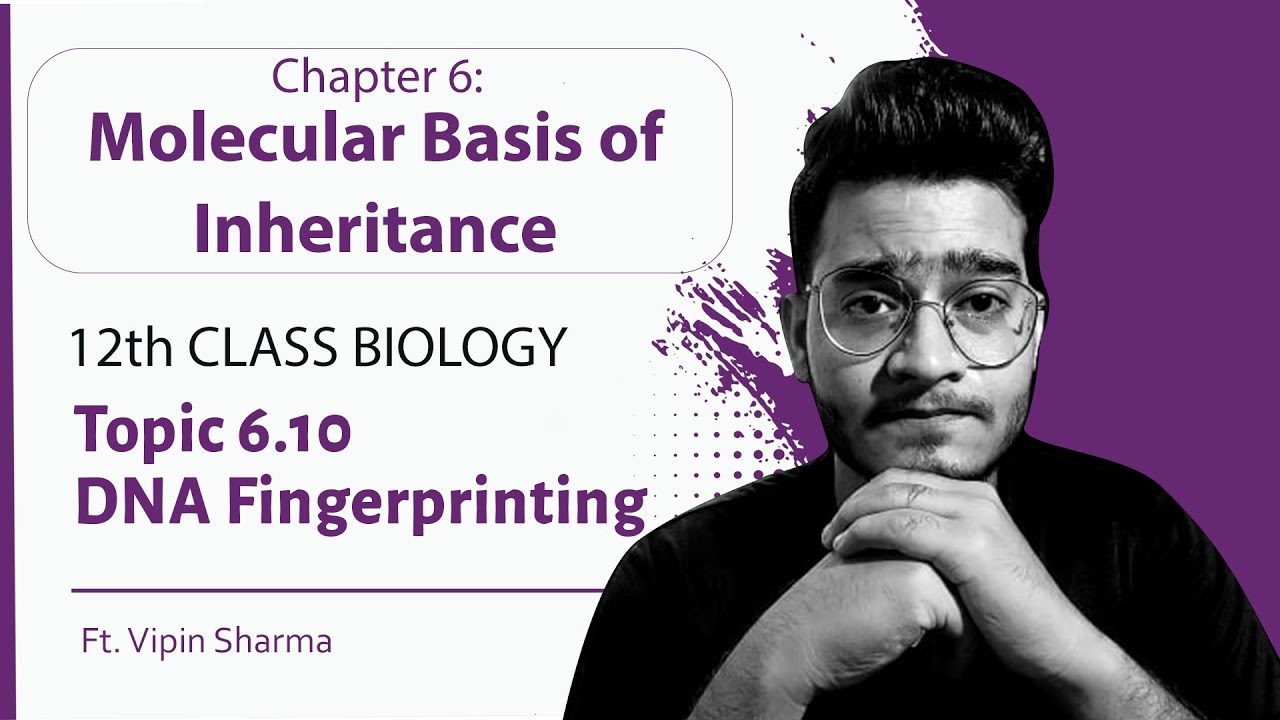 Topic 6.10 DNA Fingerprinting | Molecular Basis of Inheritance |12th Class Biology Handwritten Notes