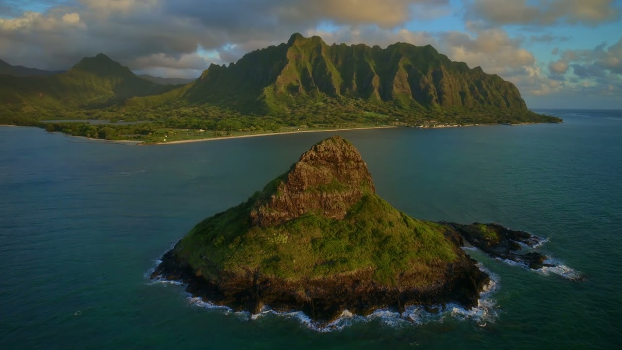 Hawaiian Hula Dancer | Tropical Sounds For Relaxation 🌴 😌