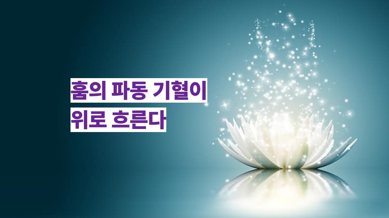 광명진언 수행에서 일어나는 이마 밝음과 기혈 상승의 깊은 구조266강#위빠사나