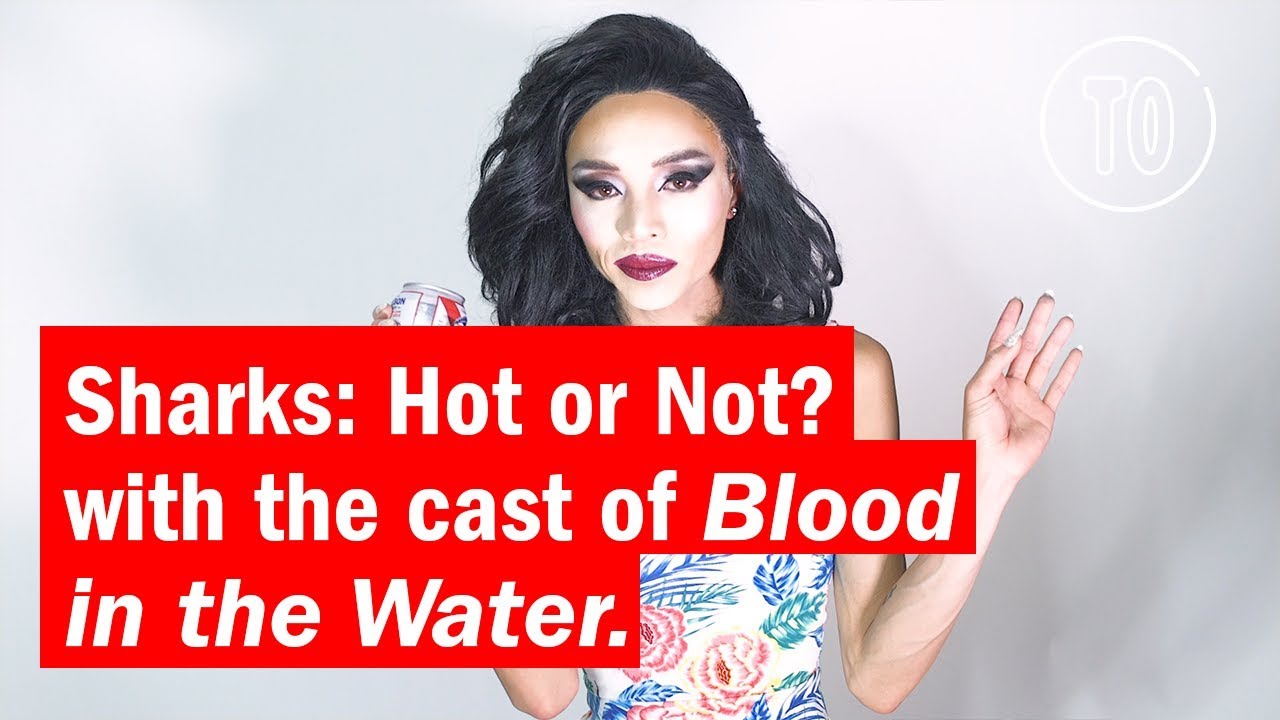 NYC Drag Queens rank sharks on their hotness