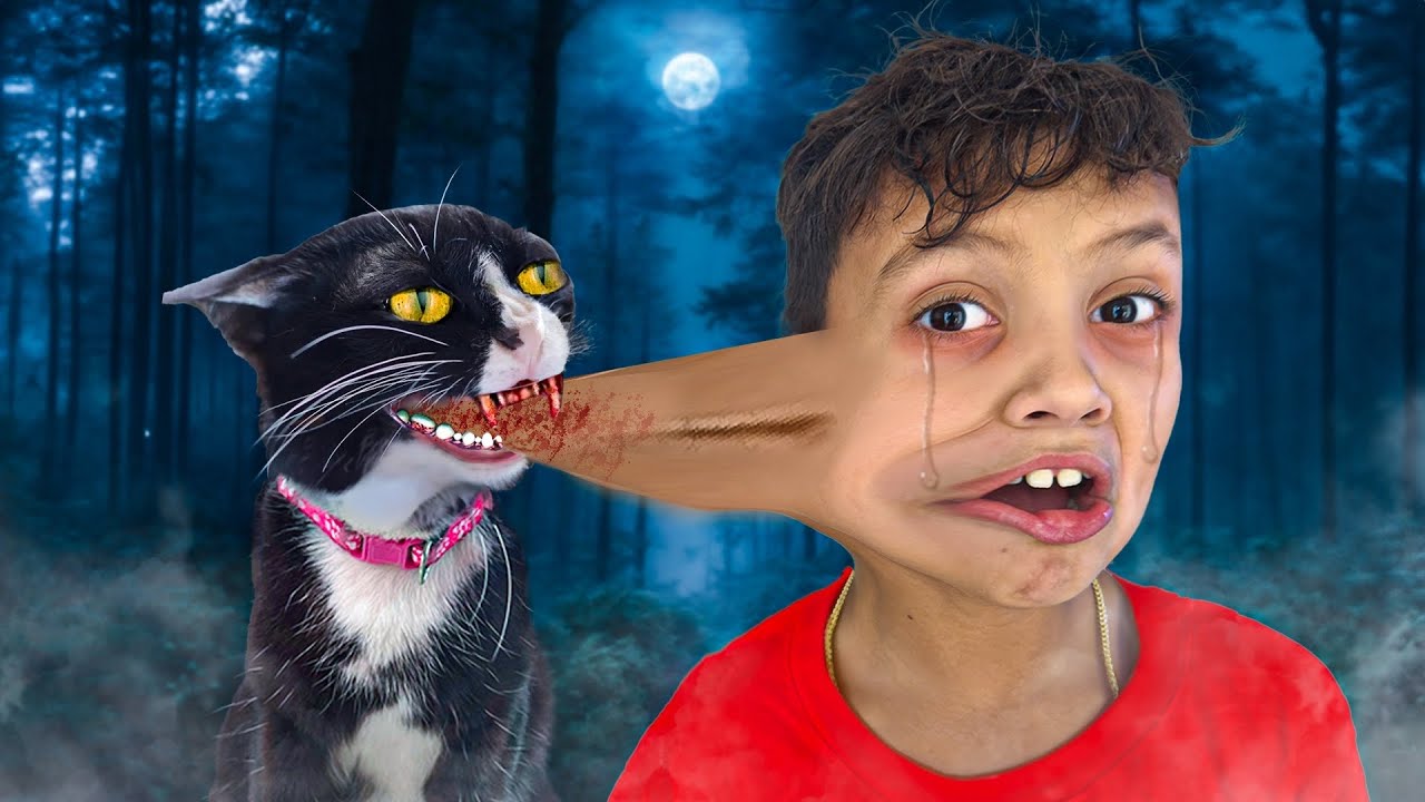 MY CAT BIT MY FACE...