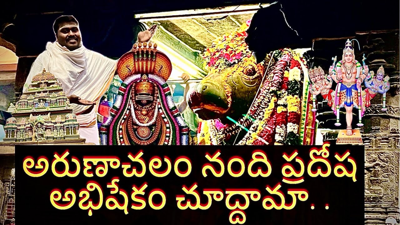 “అరుణాచలం లొ పెద్ద నంది”🐂( ప్రదోషం అభిషేకం) “ప్రాముఖ్యత |#arunachalamnandhi #నందిఅభిషేకం #ytvedios