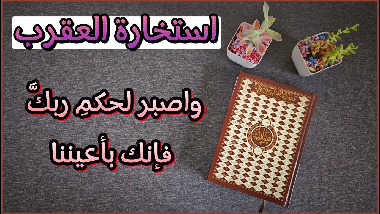 استخارة عامّة بالقرآن الكريم لمواليد برج العقرب نتحدث فيها في كافة مجالات الحياة