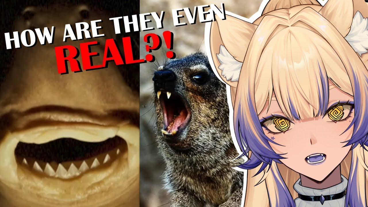 Even Nature FORGOT About These | 10 Animals You Definitely Forgot Existed | Casual Geographic React