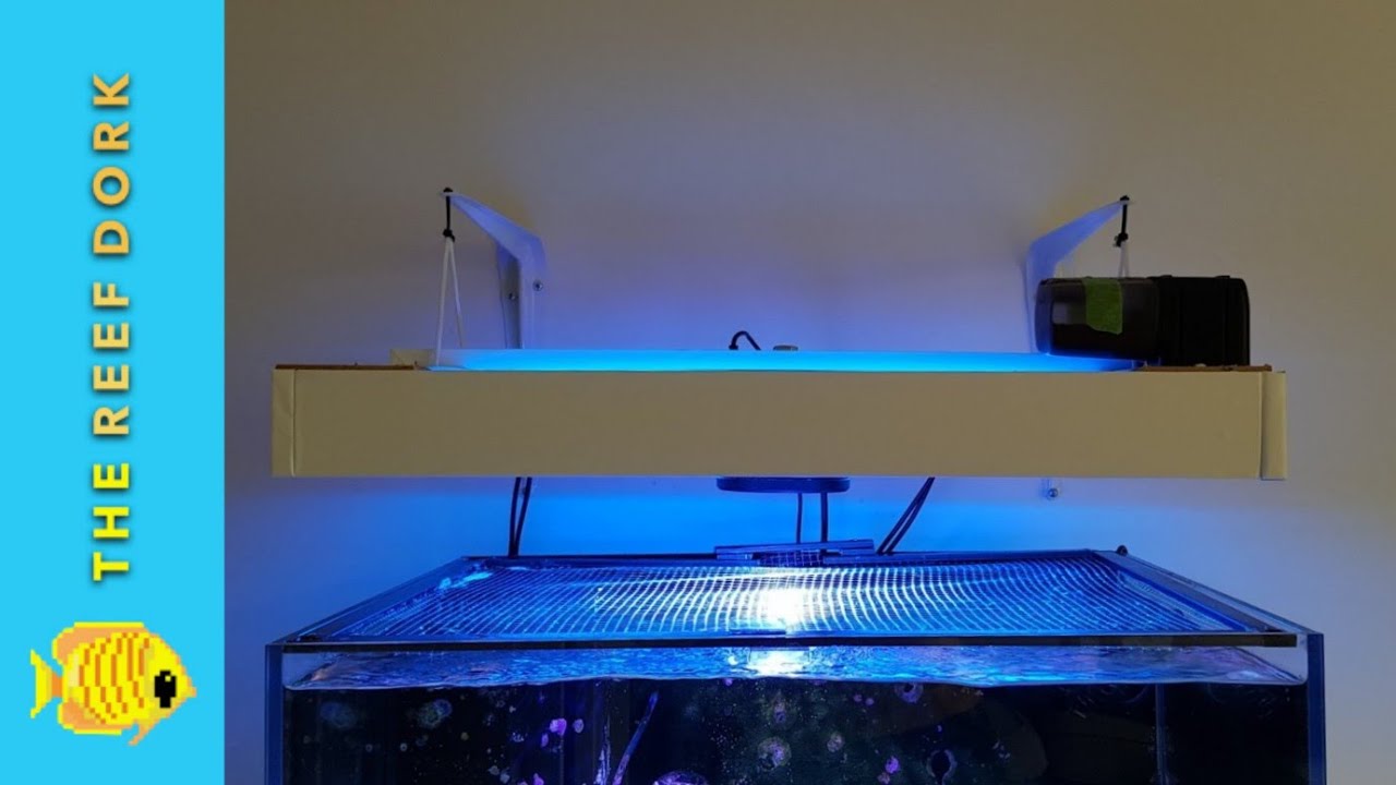 DIY LED/T5 Hybrid With Kessil - Beautiful Light Colour, Spectacular Growth.