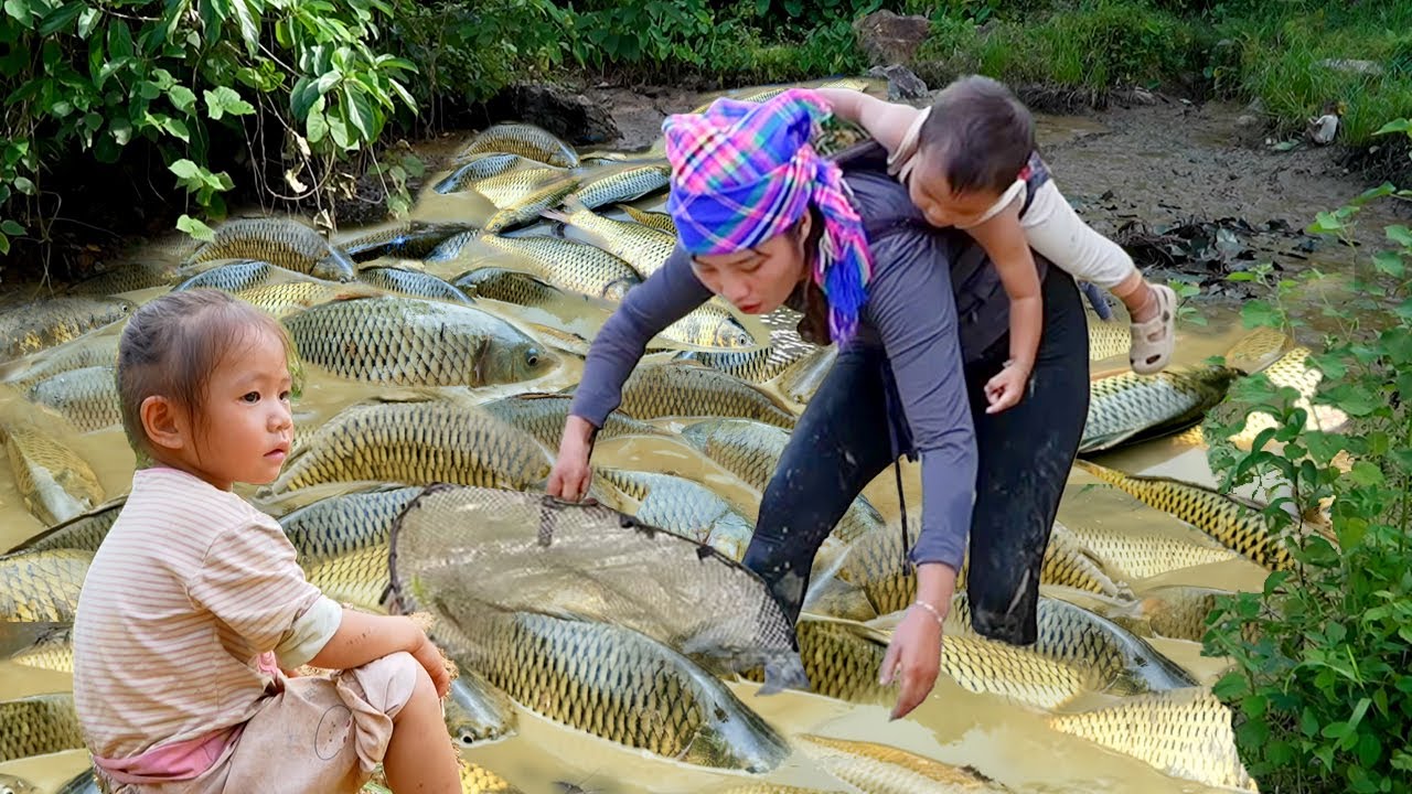 Unbelievable Catch After the Rain! 🌧 Giant Pond Fish & A Sweet Gift for My Little Daughter