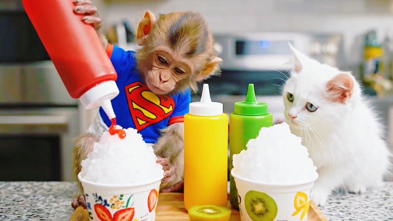 A Cool Treat Day! Monkey Lindo Makes Fruit Shaved Ice with White Kitten 🍧🐒🐱