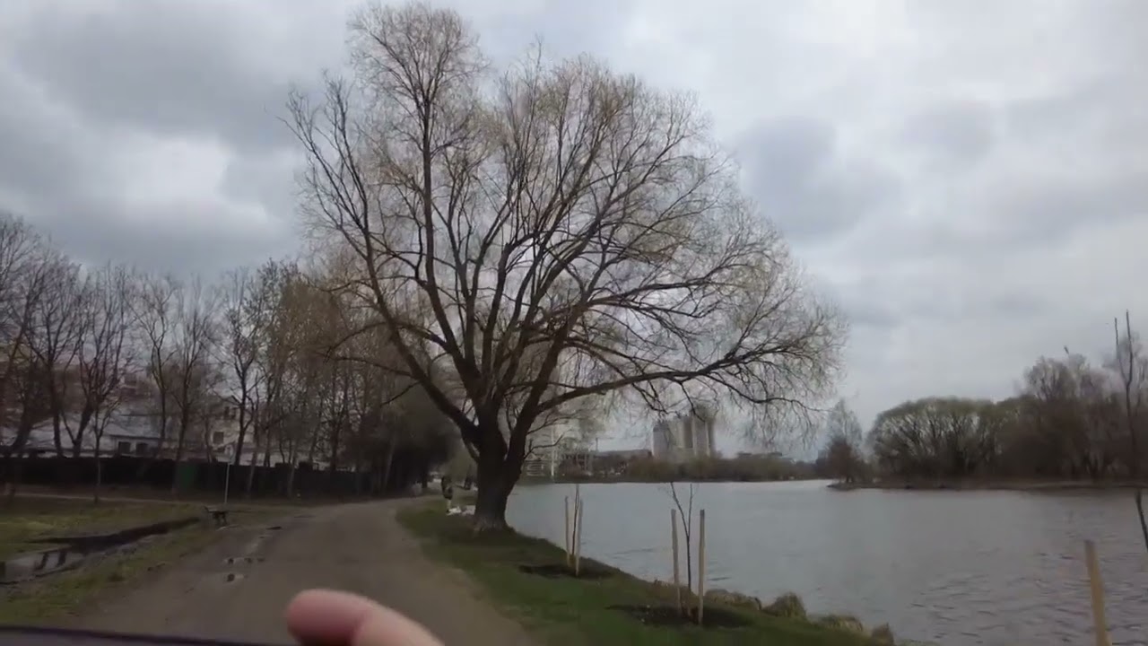 Набережная по ул Полевая, классное место с природой и Лебедями  Погулять здесь в удовольствие Минск