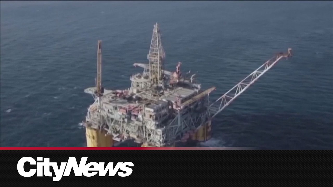 Лидеры G7 договорились о высвобождении 100 млн баррелей нефти из резервов