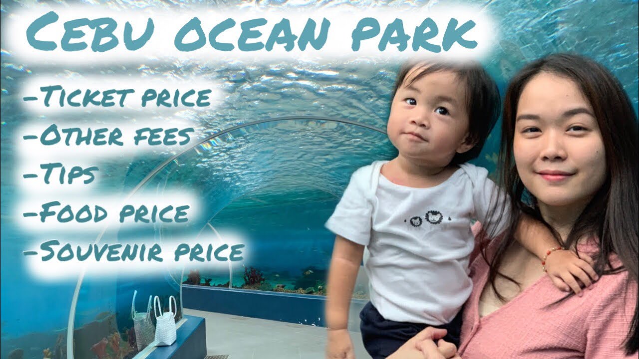 CEBU OCEAN PARK | LARGEST OCEANARIUM IN THE PHILIPPINES - EVERYTHING YOU NEED TO KNOW | HOW TO MOMMY
