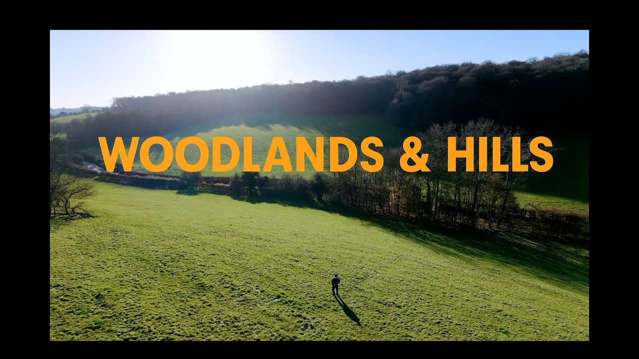 Beneath the trees, Beyond the hills - Woodlands and Rolling hills
