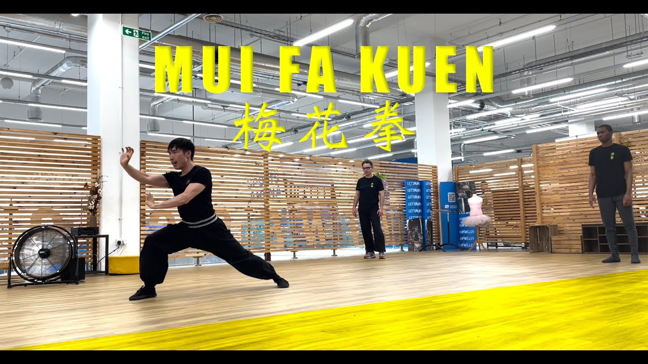 Mui Fa Kuen 梅花拳 (Chiu Wai Style Hung Gar 趙威洪家拳) Hung Gar Kung Fu 洪家功夫