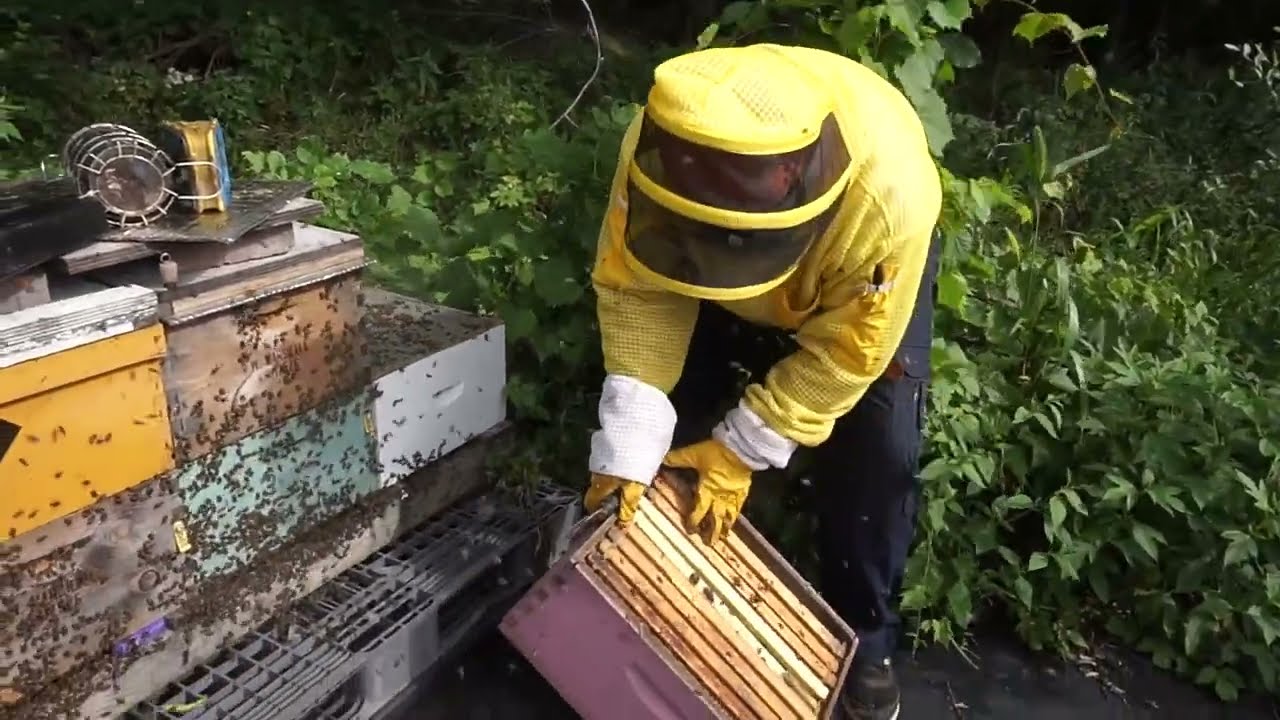 Brood Box Rotation | Beehive Winter Preparation (Part 2)