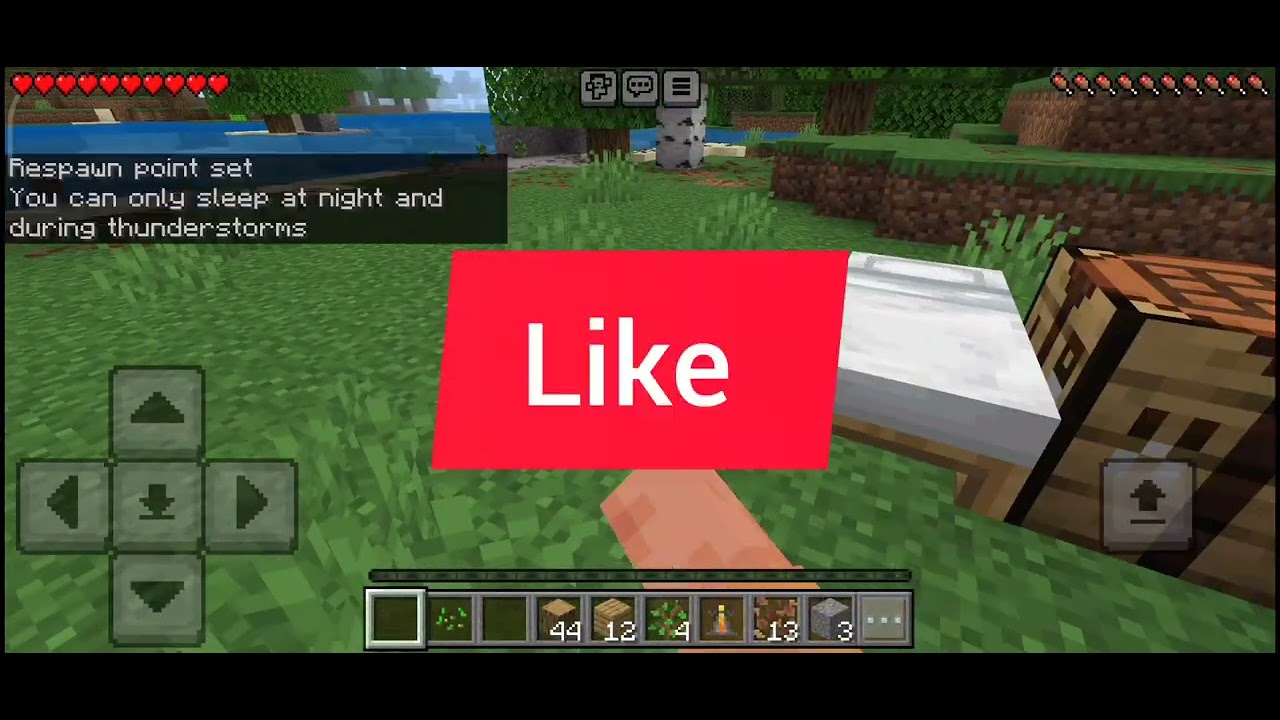 Minecraft    SARVIVAL    gameplay  video 