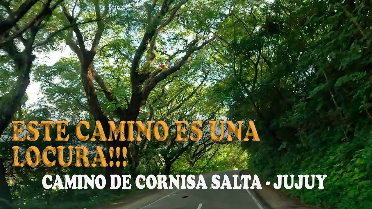 CAMINO DE CORNISA SALTA - JUJUY.