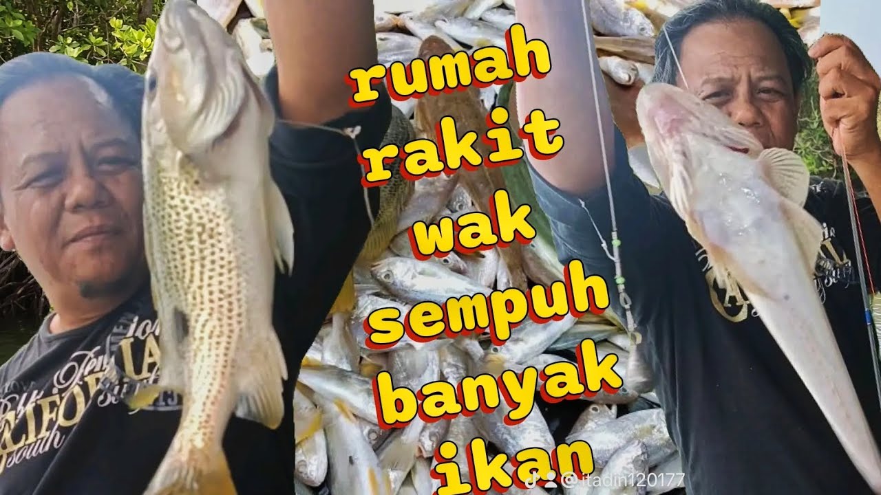 Memancing di rumah rakit wak sempuh satu tong ikan #memancing #rumahrakit #rumahrakitwaksempuh 