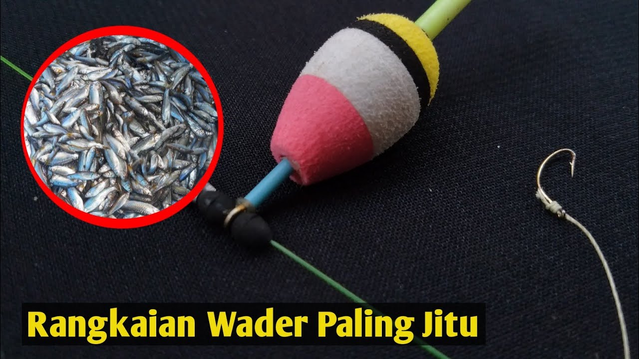 Begini Setting Rangkaian Pancing Wader Paling Ampuh!