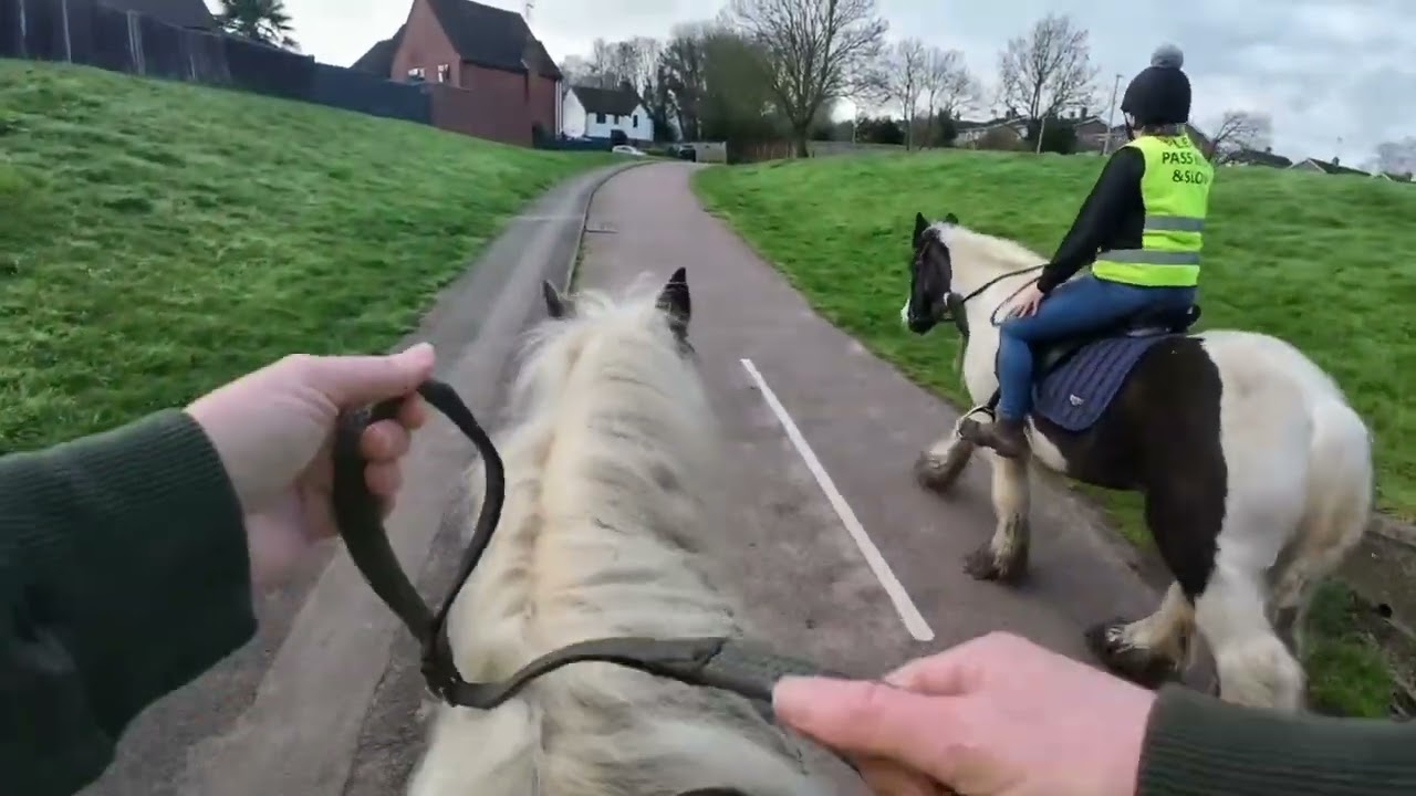 Mud tracks and scary lorries #dji #horseriding 