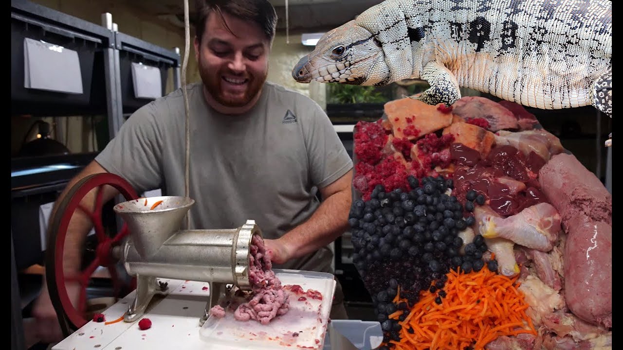 Making TEGU Food!  How to Feed Your Tegus BONES!