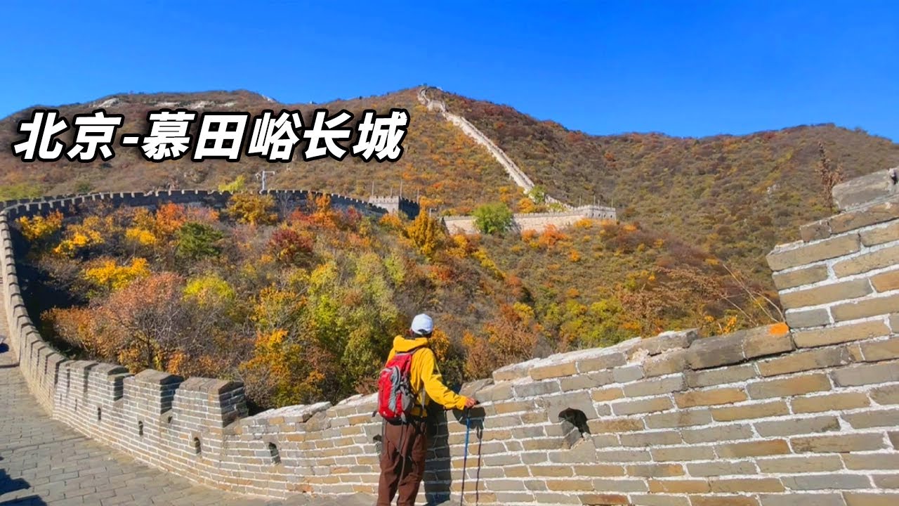 北京赏秋～慕田峪长城正是红叶季，遍地都是彩林美翻了！【行走世界的北京老刘】