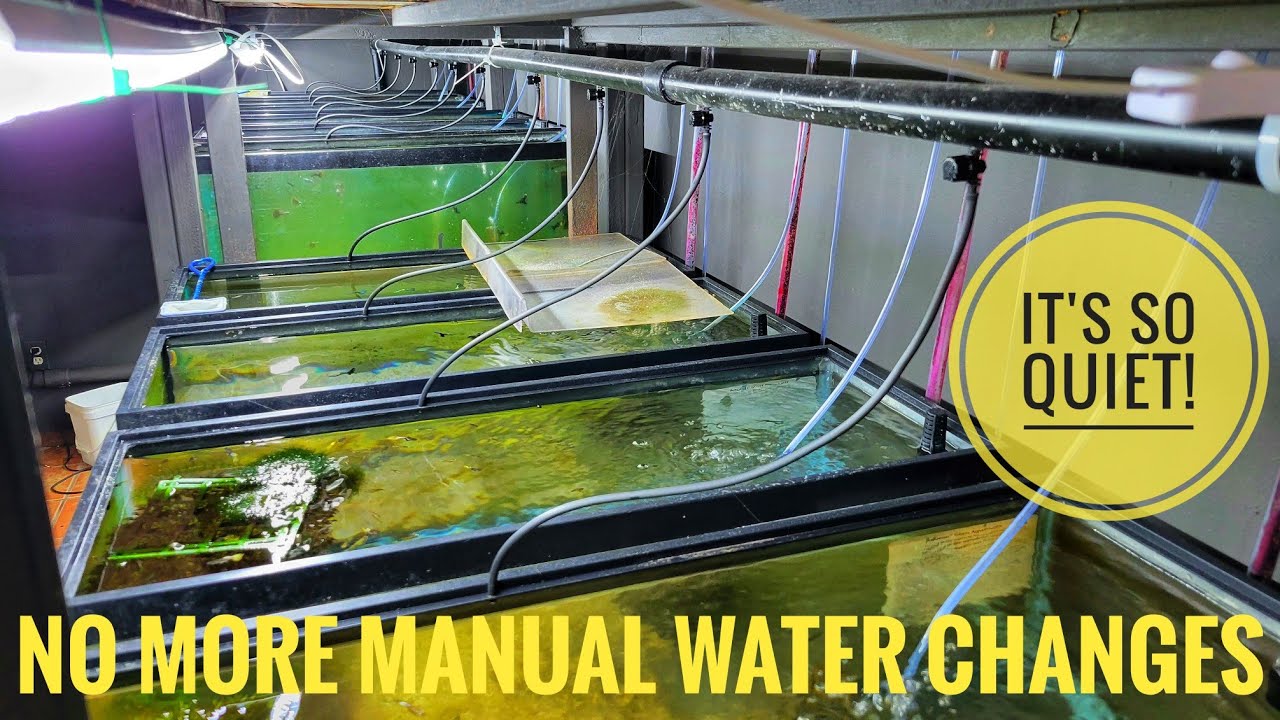Fishroom Rebuild Part 10: Finishing The Automatic Water Change and Starting On The Next Wall