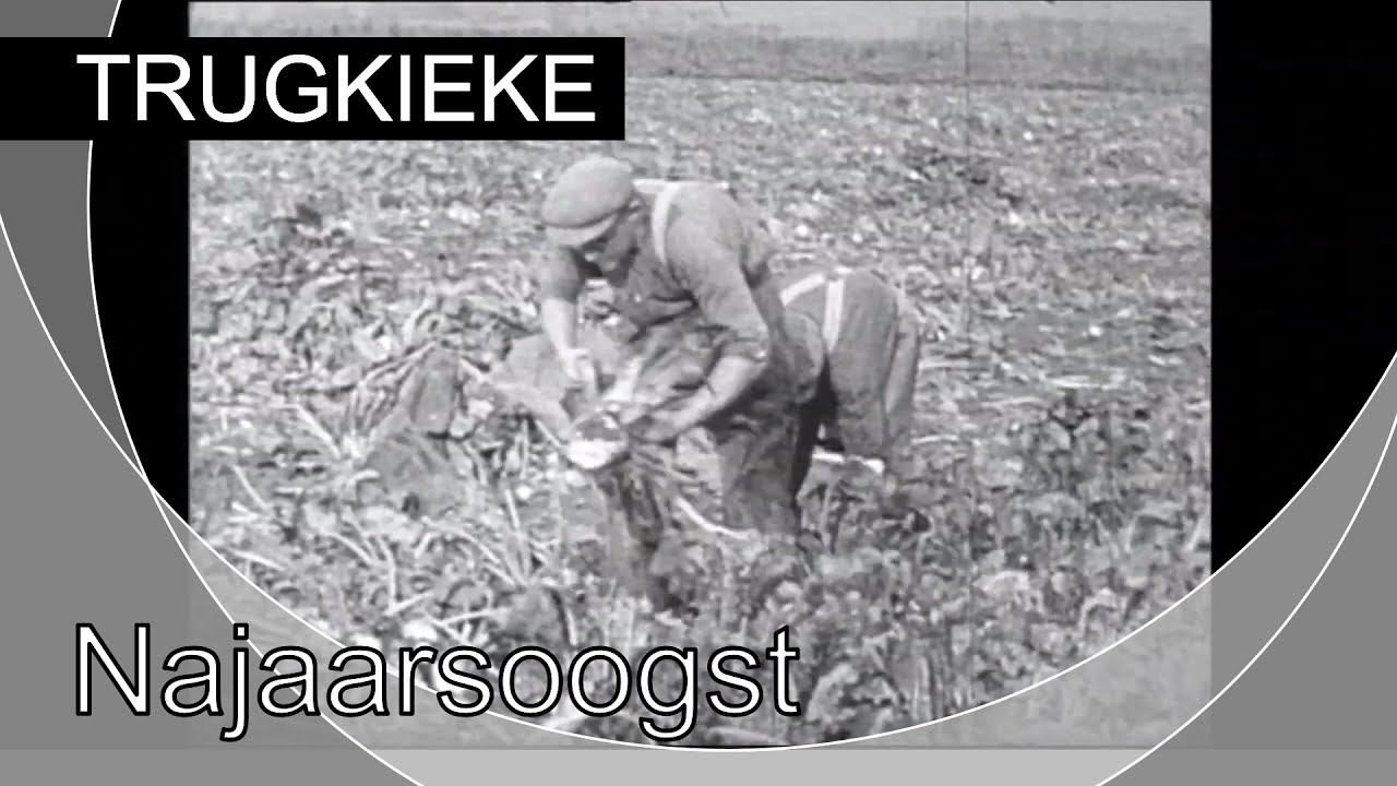TRUGKIEKE - De coöperatie en de najaarsoogst
