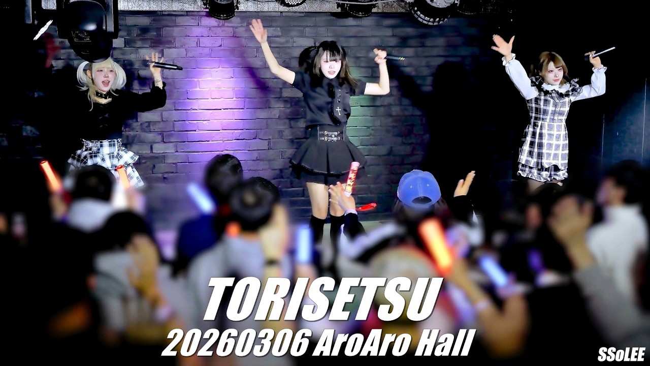 [4K] 토리세츠 (TORISETSU) - 지뢰가 아닌걸! 공연 (Full Ver.) @ 260306 아로아로홀 직캠 By SSoLEE