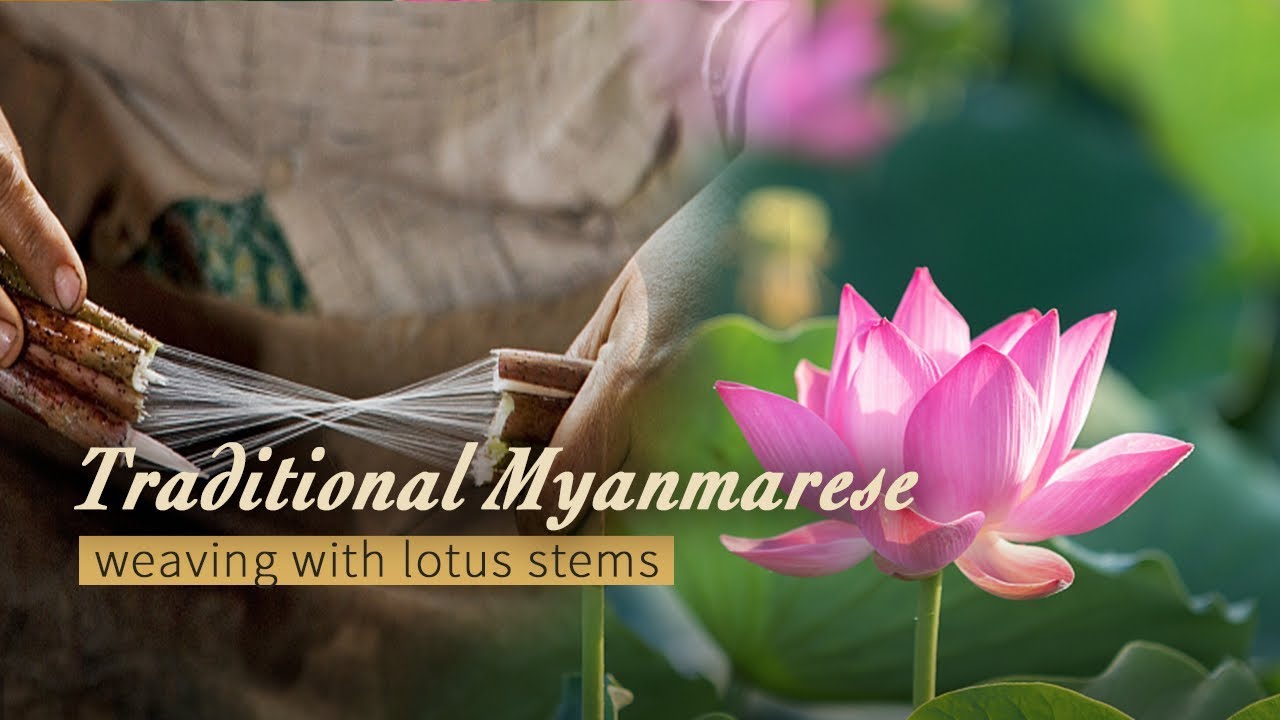 Live: Traditional Myanmarese weaving with lotus stems中缅文化周上，探秘民间绝技